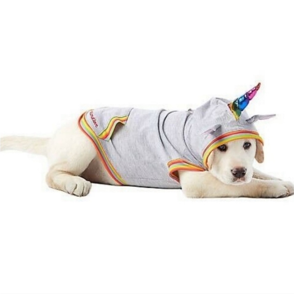 Rainbow Unicorn hoodie